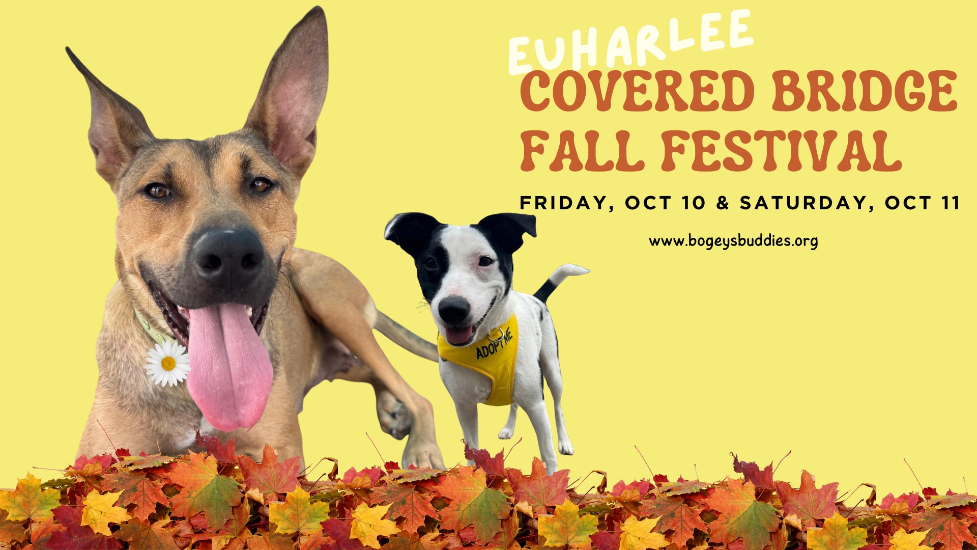 Euharlee Fall Festival Adoption Event