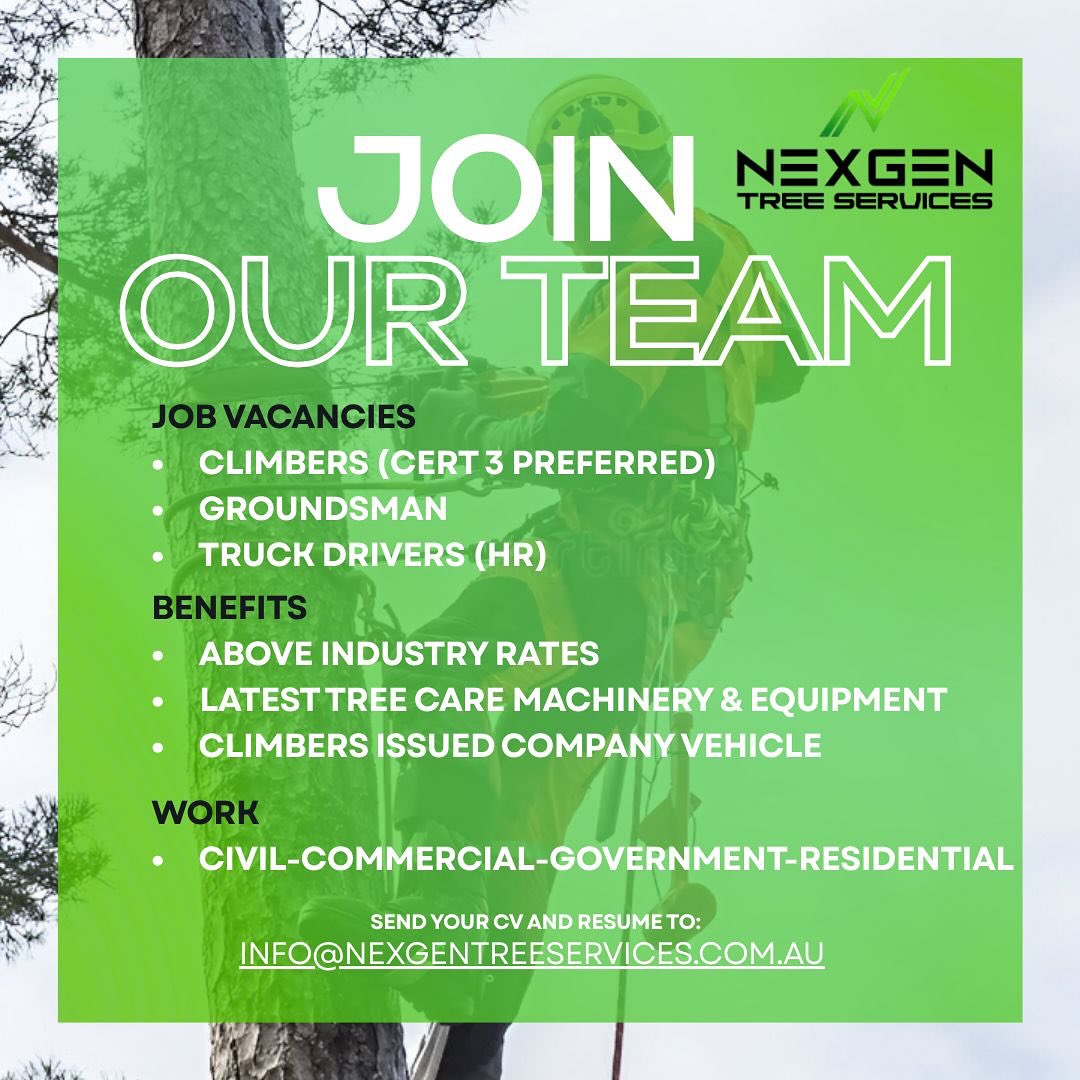 NexGen Tree Services Pty Ltd | Gold Coast QLD