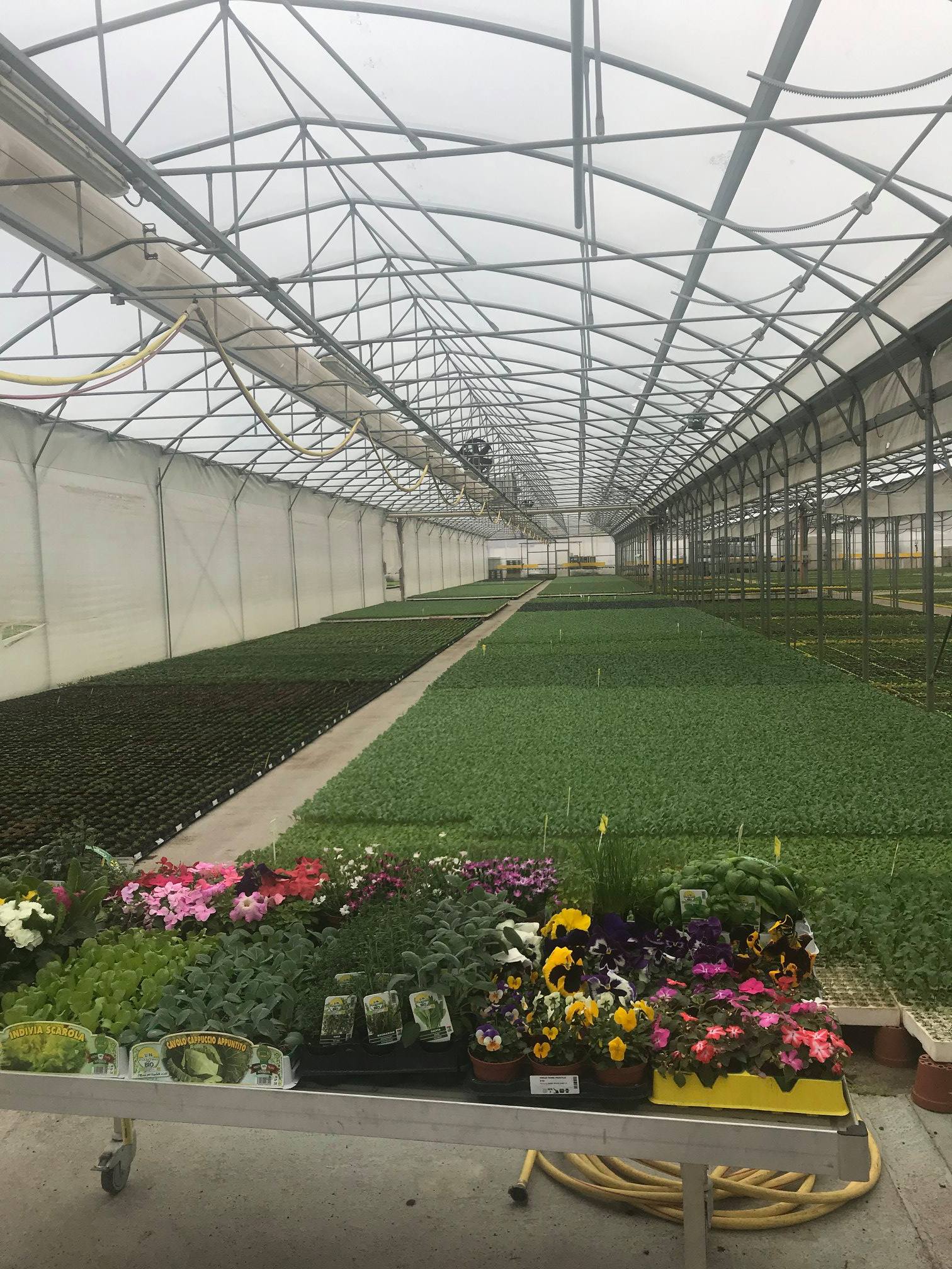 Biokeep Group