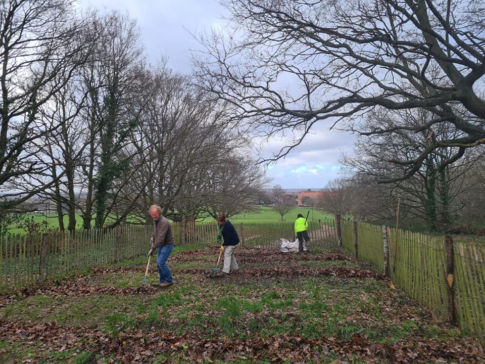The SCCOOP Nature Reserve... - Streatham Common Cooperative | Facebook