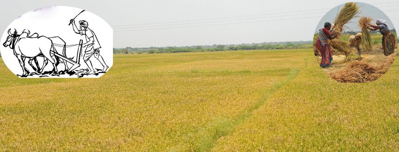 Rythu Badi