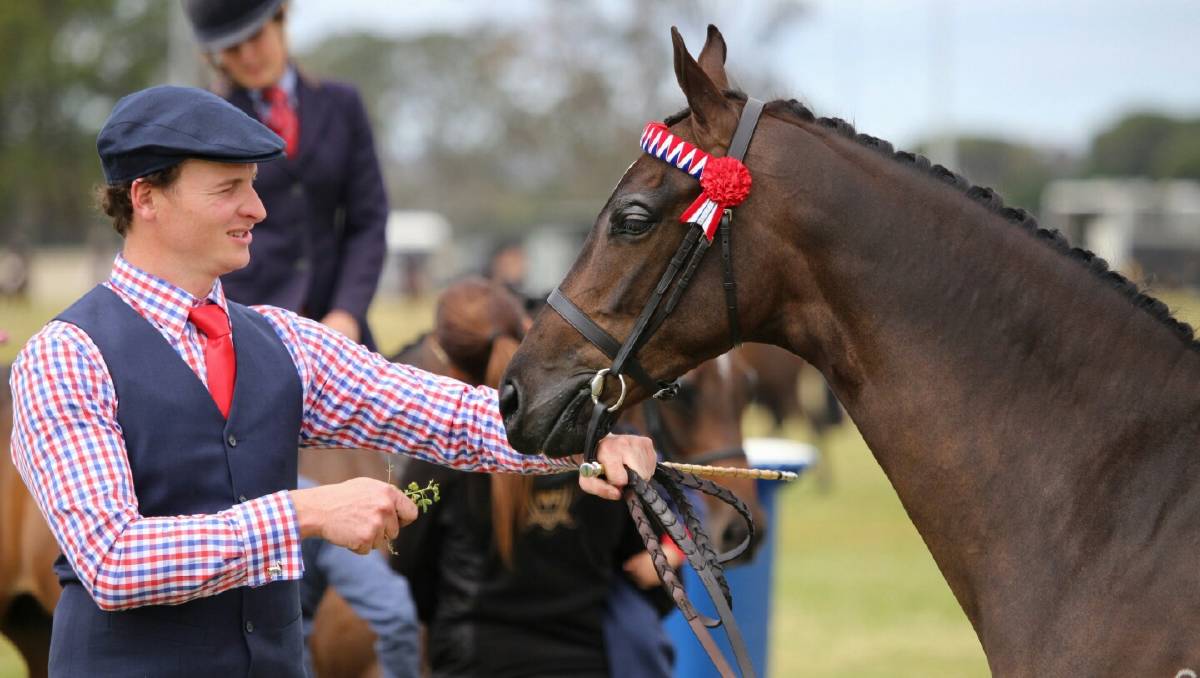Menangle Park - A nod to heritage. A large part of... | Facebook