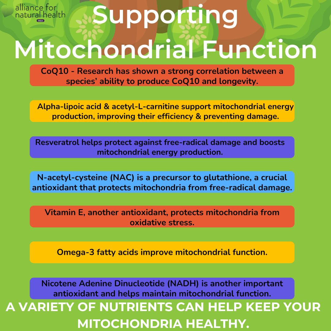 Mitochondrial free radical theory of aging and antioxidant effects