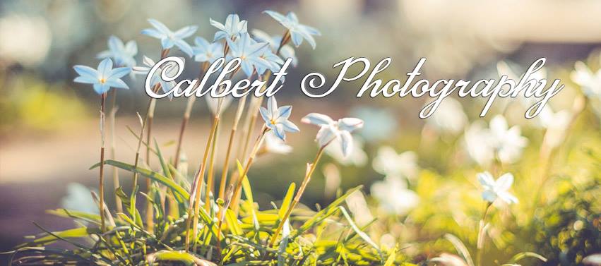 Calbert Photography