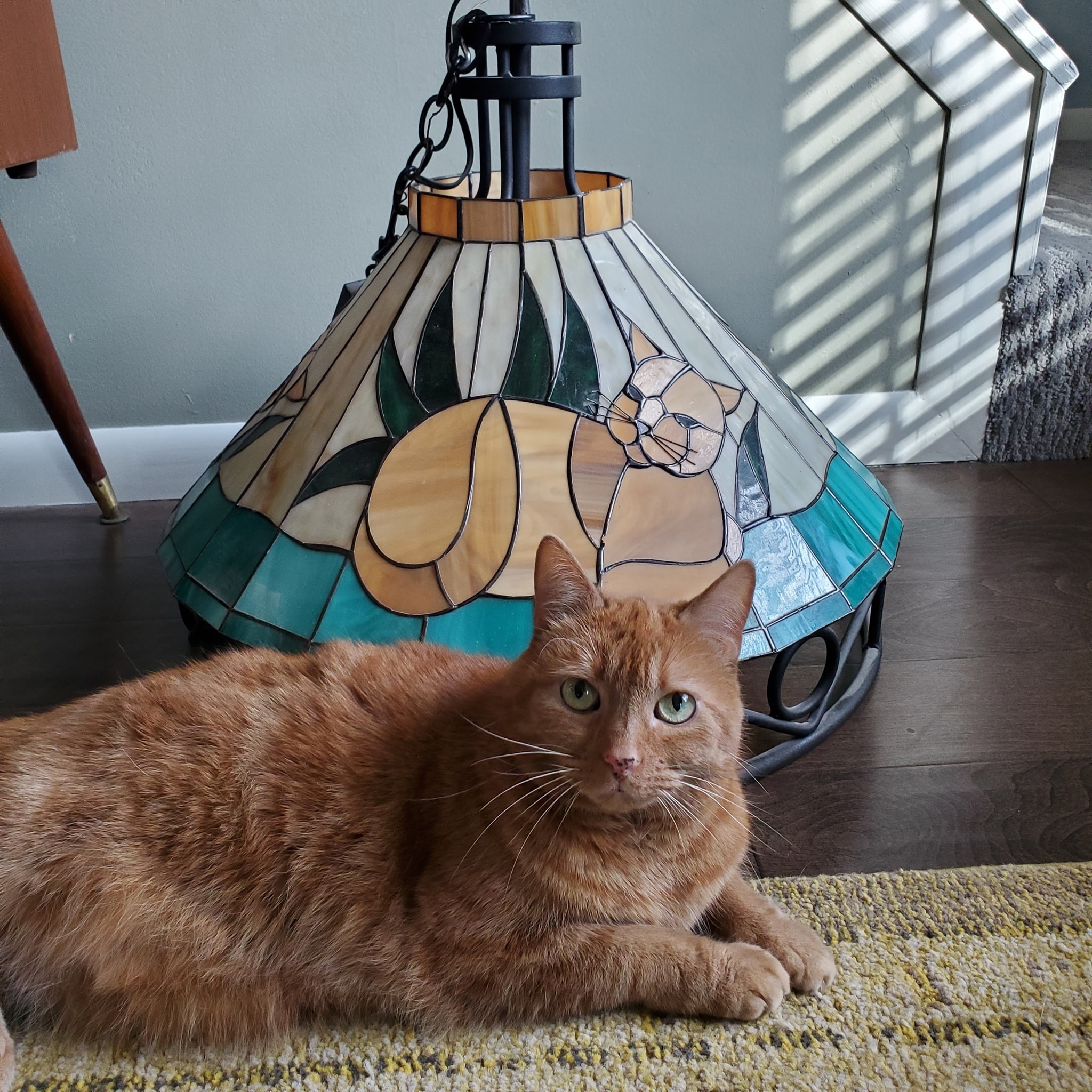 Applebee's stained glass orange cat light fixture