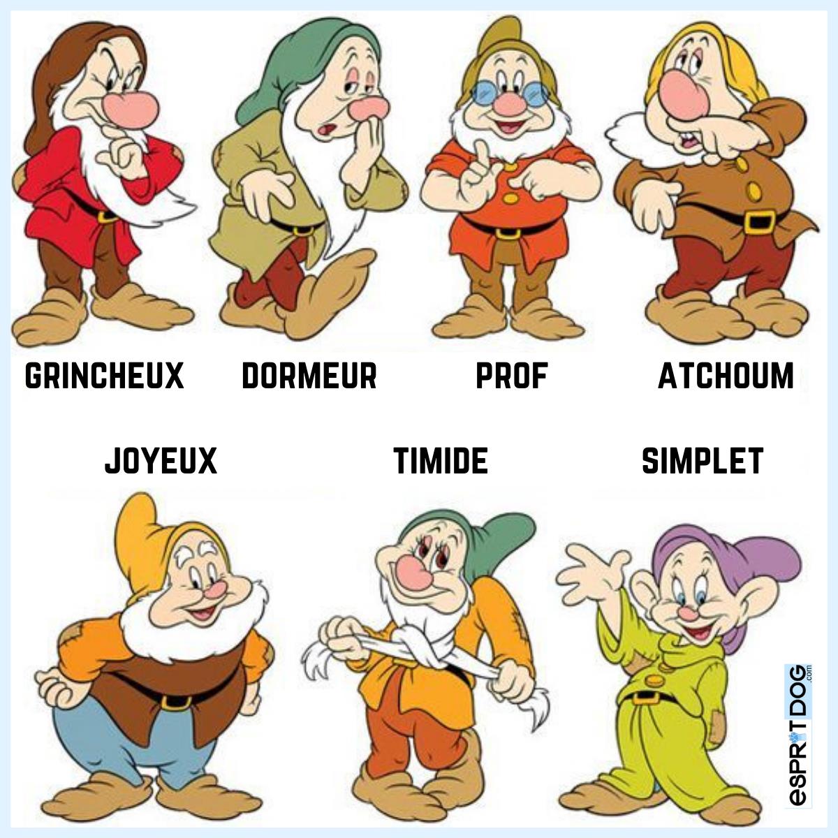 Nom Des 7 Nains En Anglais