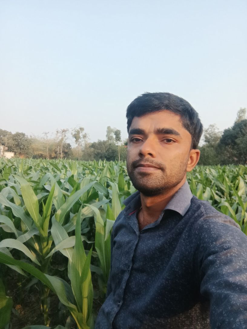 Majidur