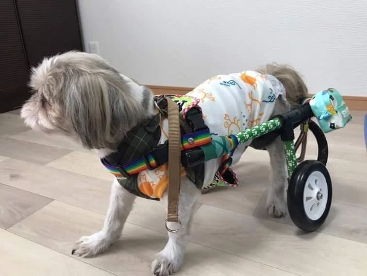 犬の車椅子プラスワン (@plusone5050) • Facebook