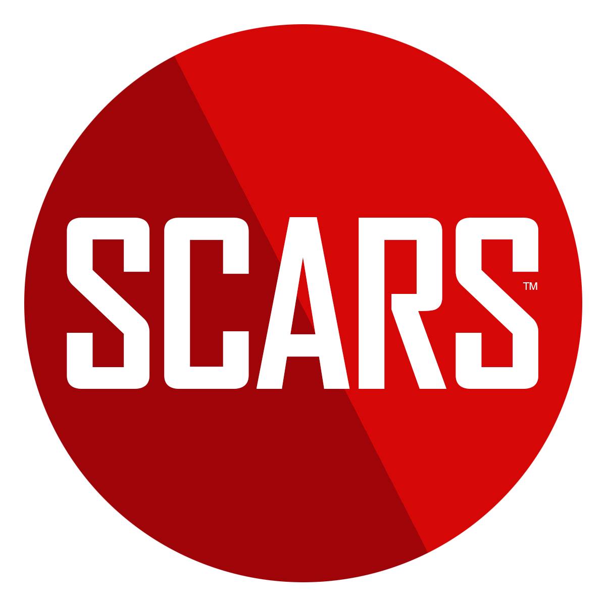 A SCARS Institute Special Report: The Many Types of Trauma ...