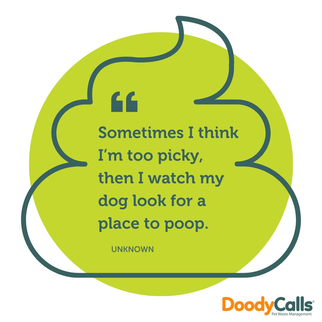 DoodyCalls - There's nothing quite as picky as a doggo looking for the ...