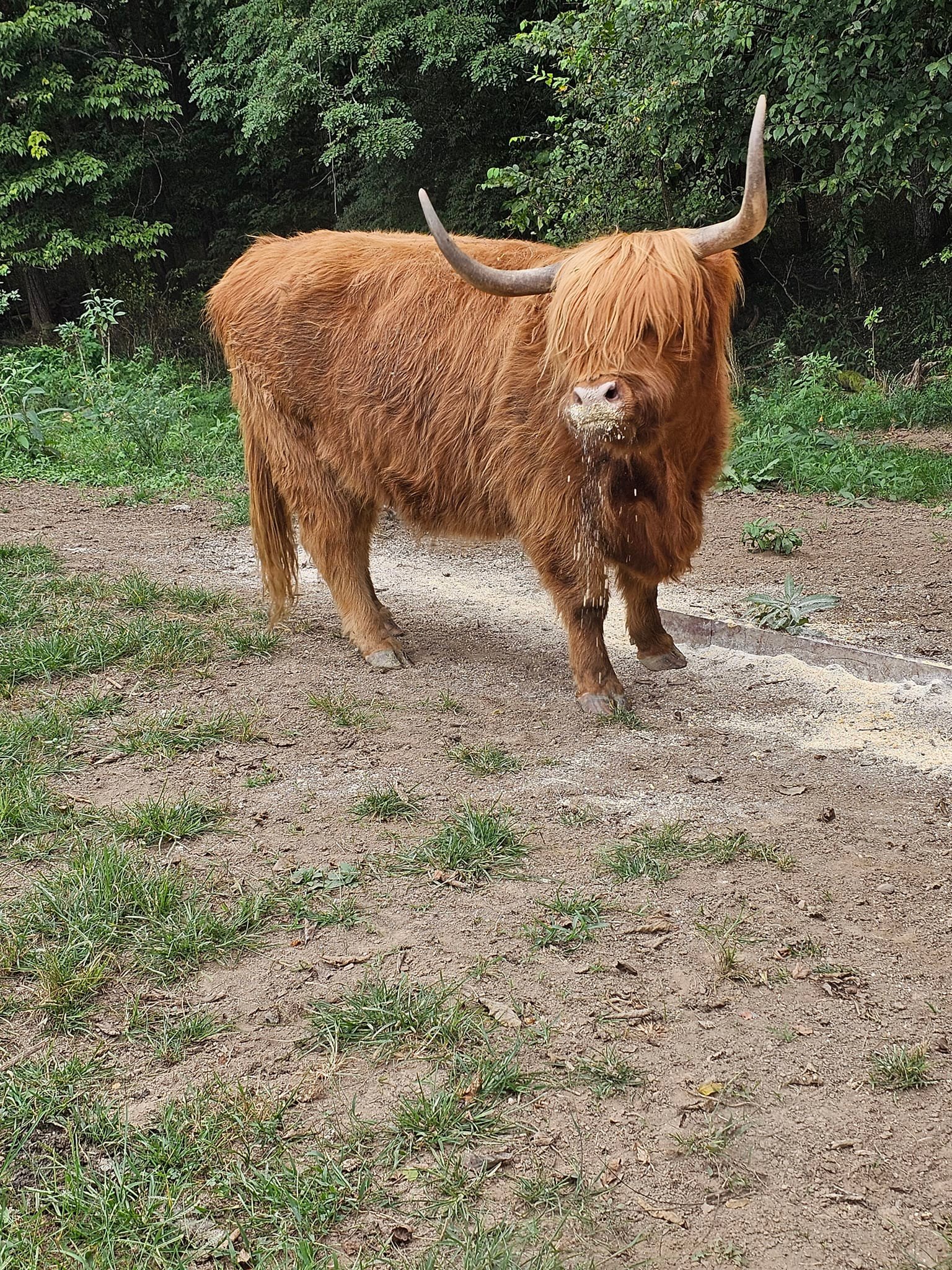 Bess Farm & Ranch