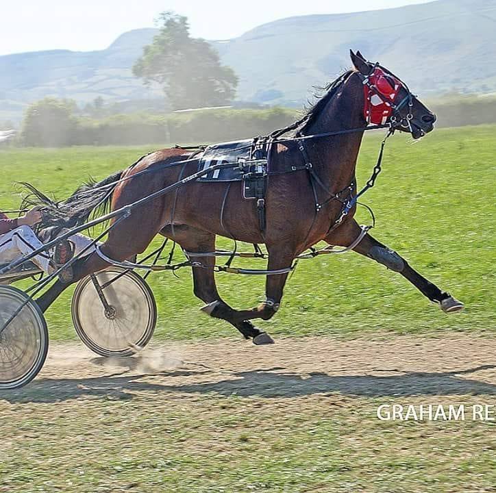 🏴󠁧󠁢󠁳󠁣󠁴󠁿🏆 WINNER 🏆🏴󠁧󠁢󠁳󠁣󠁴󠁿 Magna... - Alastair Ralph Racing | Facebook