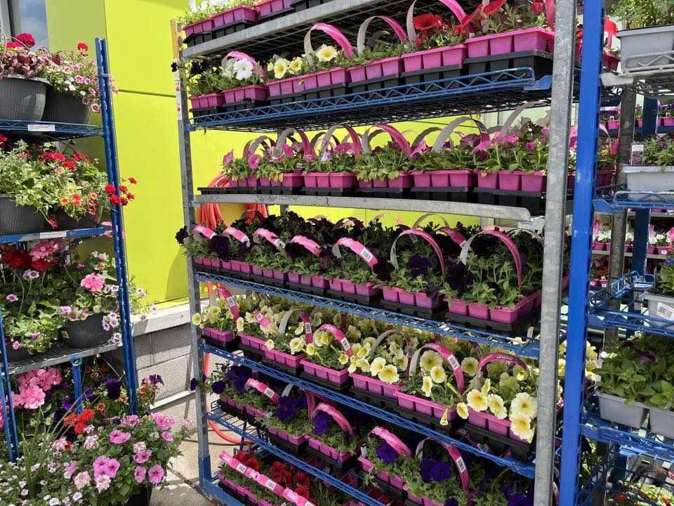 FreshCo Binbrook | Hamilton ON
