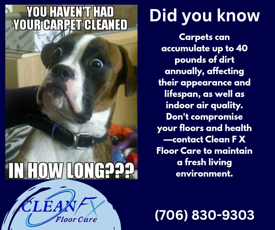 Clean Fx Floor Care | Martinez GA