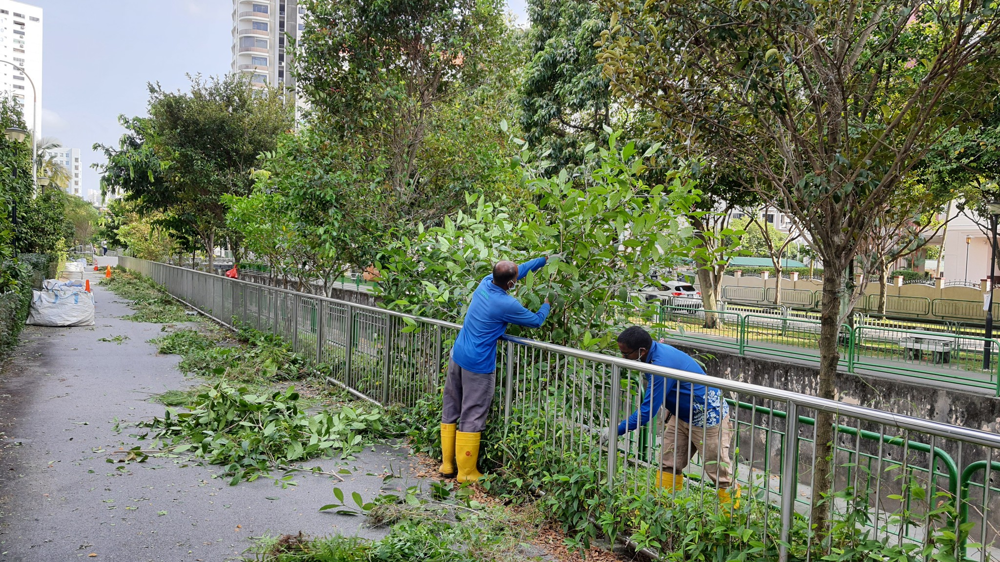BNL - Our landscape workers whose unwavering dedication and exceptional ...