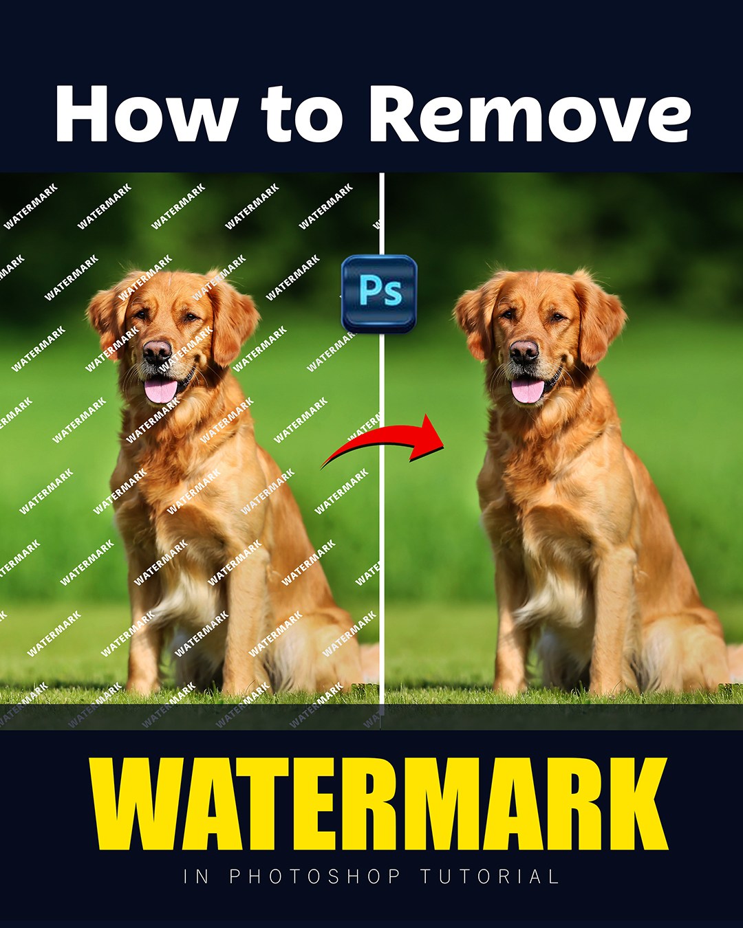 Graphic - This Remove Watermark Tricks In adobe Photoshop Tutorial ! 🔗 ...