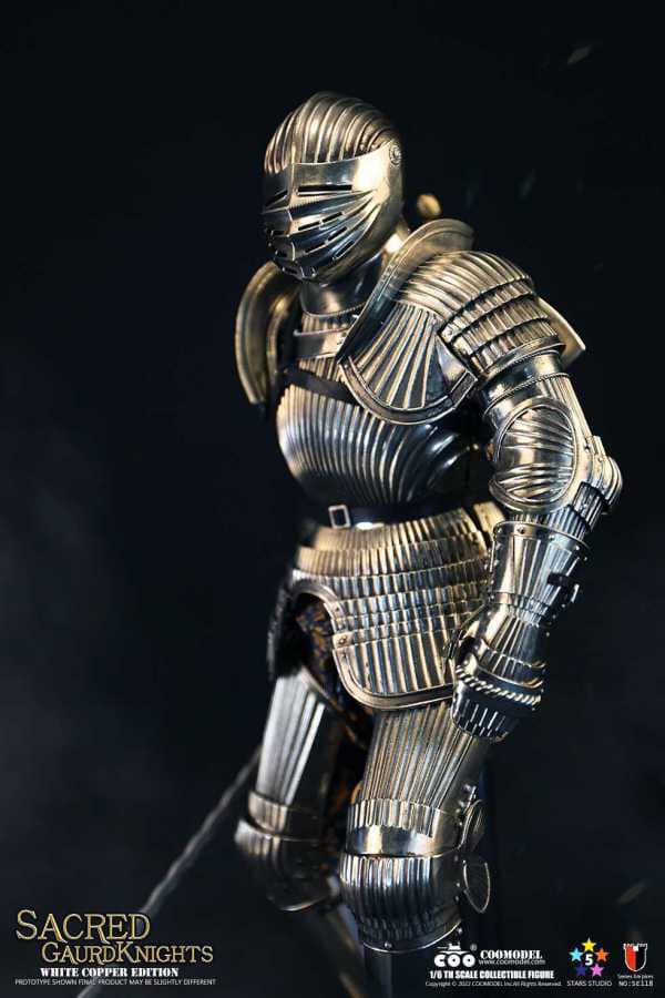 cyytoys & HatShot 1/6 Cleanrot knight HS-11 Deposit (มัดจำ) 1,500