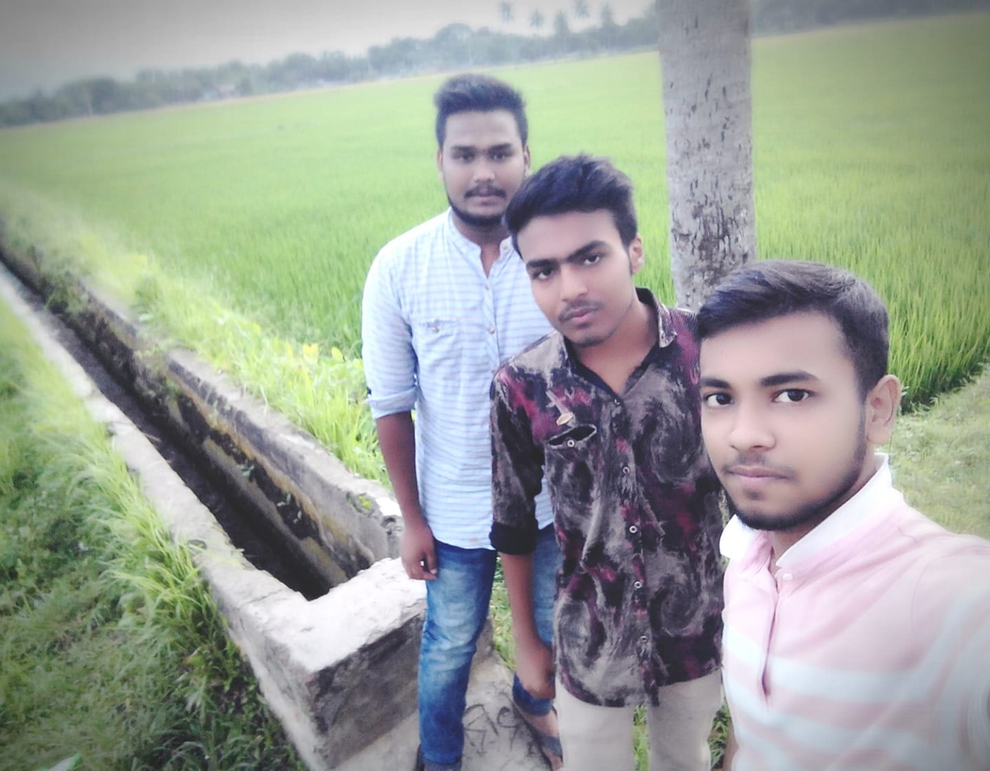 Jayed Islam