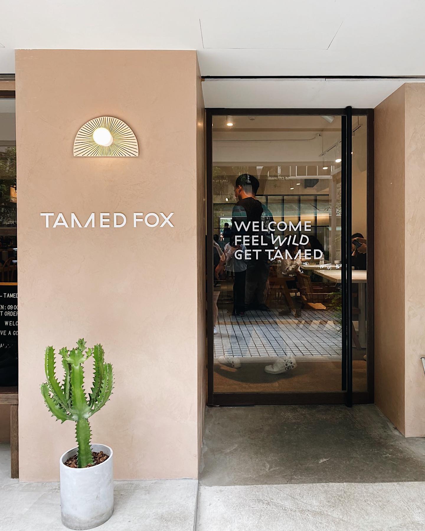 TAMED FOX | Taipei