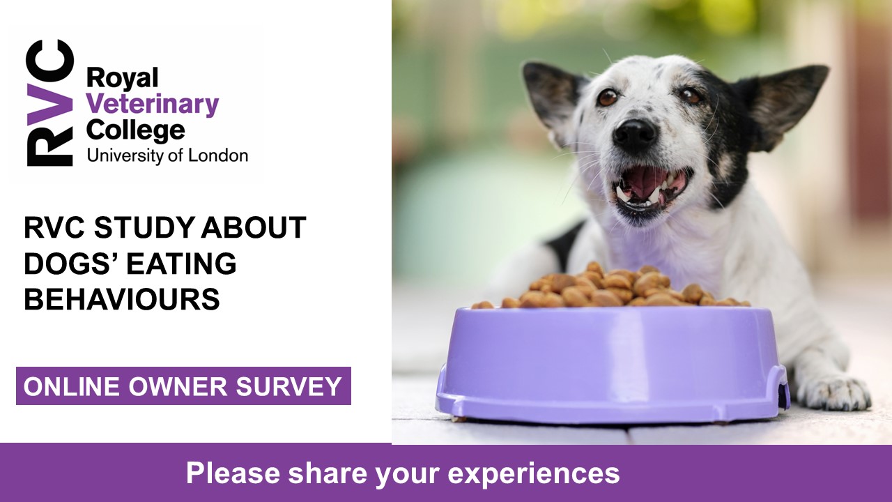 🐕 Do you own a dog... - The Royal Veterinary College (RVC) | Facebook