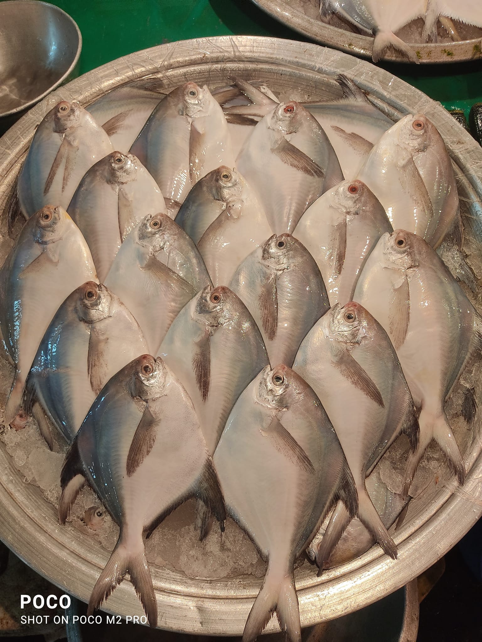 SellFish | Chittagong