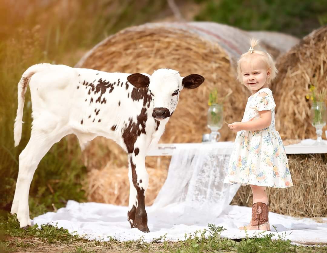 The sweetest tea party with our... - Autumn Ridge Farm