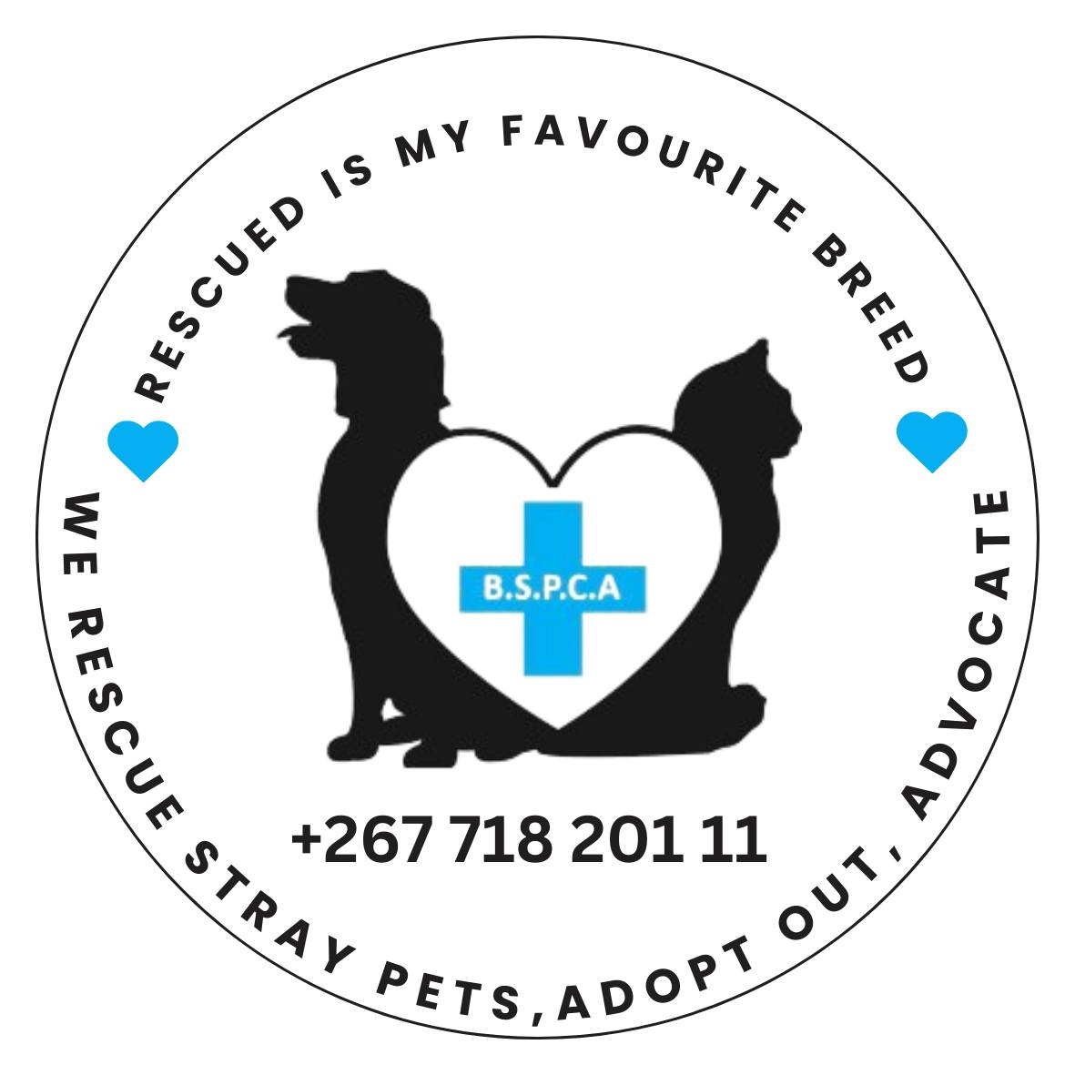 BSPCA Gaborone - Three more stray dogs have arrived at the... | Facebook