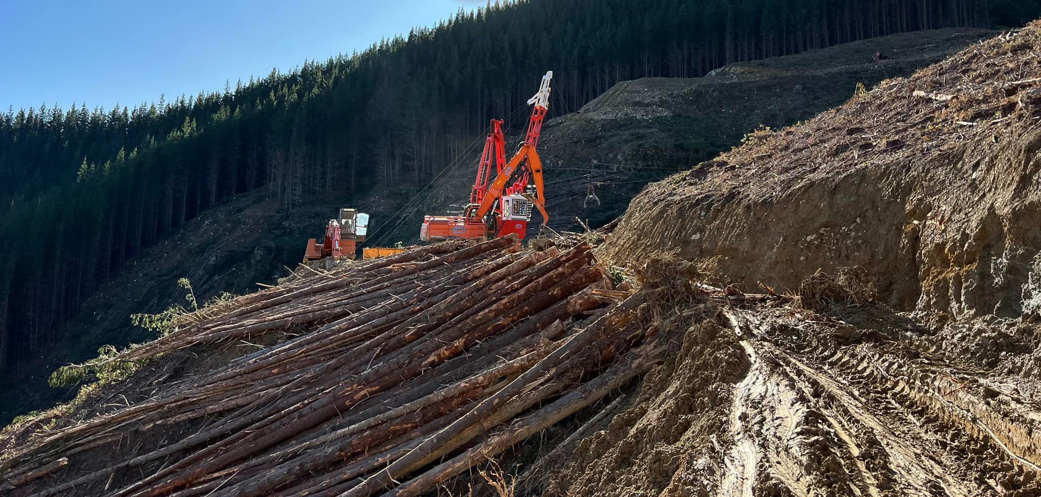 Kelly Logging Ltd | Nelson