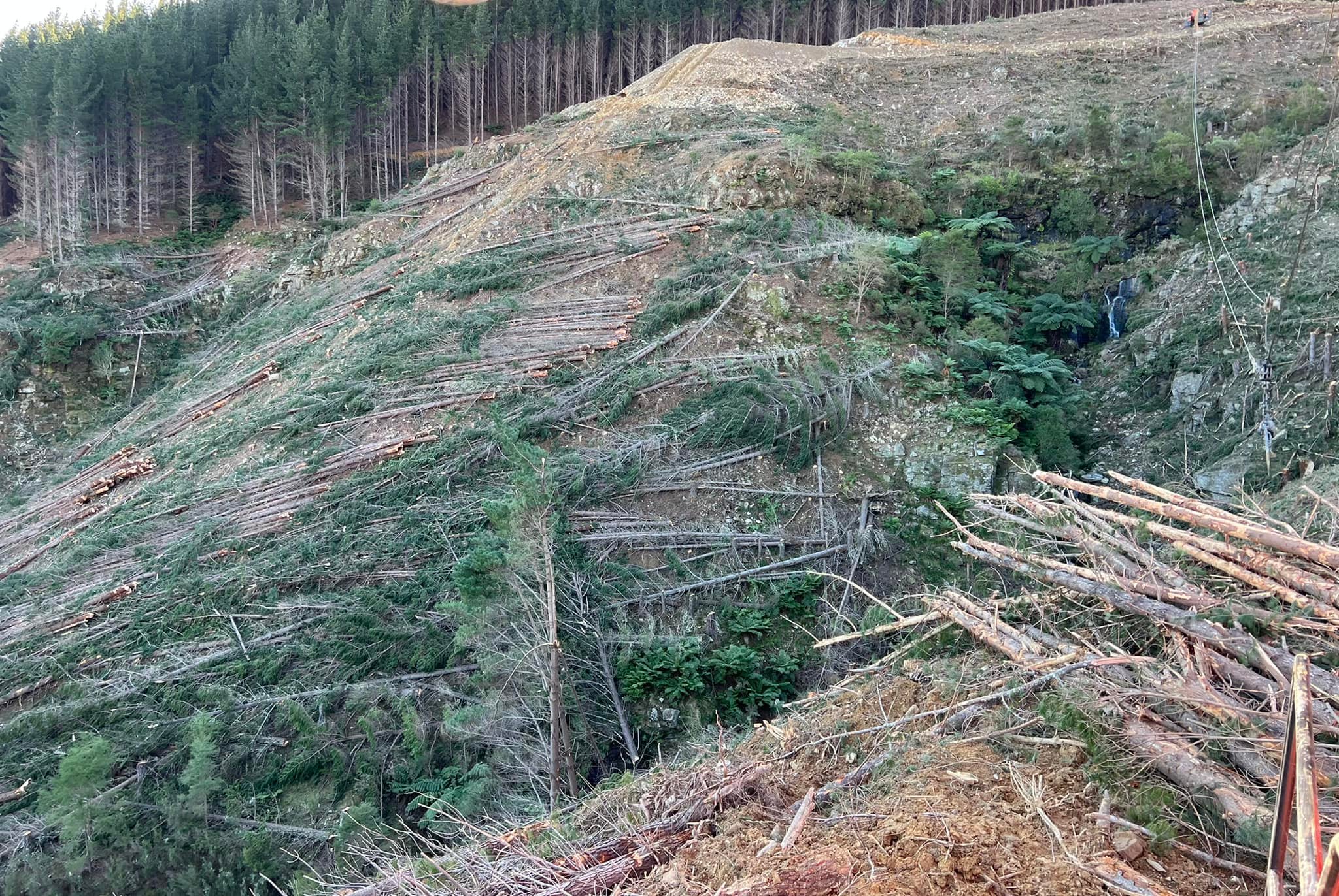 Kelly Logging Ltd | Nelson