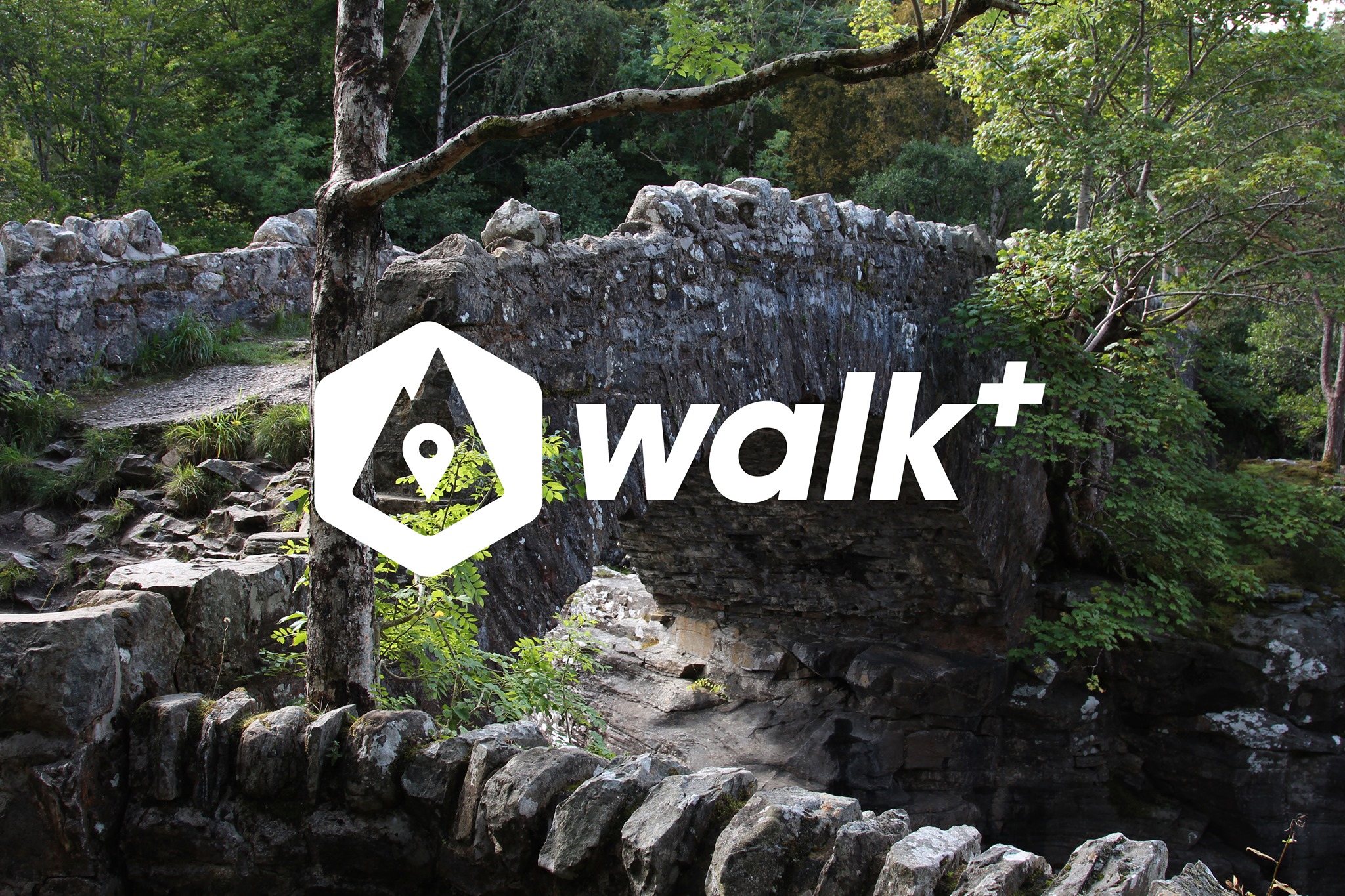Walk Plus