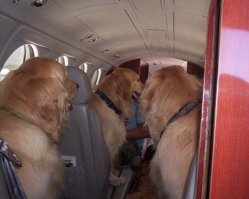 PetFlight