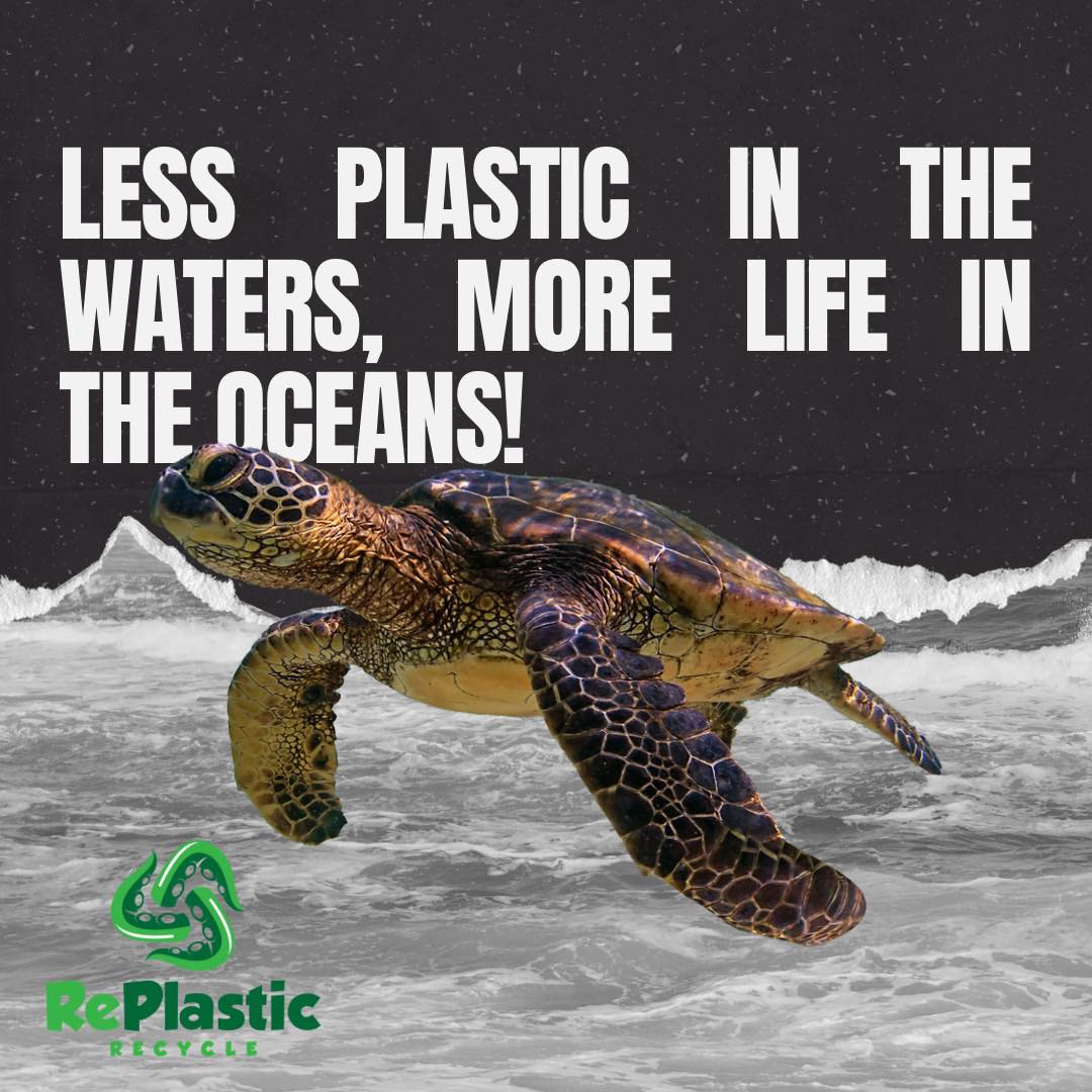 Less plastic, more marine life! 🌊🐢... - RePlastic Recycle | Facebook