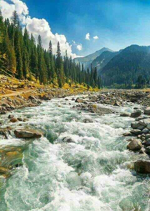 SWAT - اُتروڑ، کالام ویلی، سوات🥰 Utror, also spelt Atror, is a valley ...