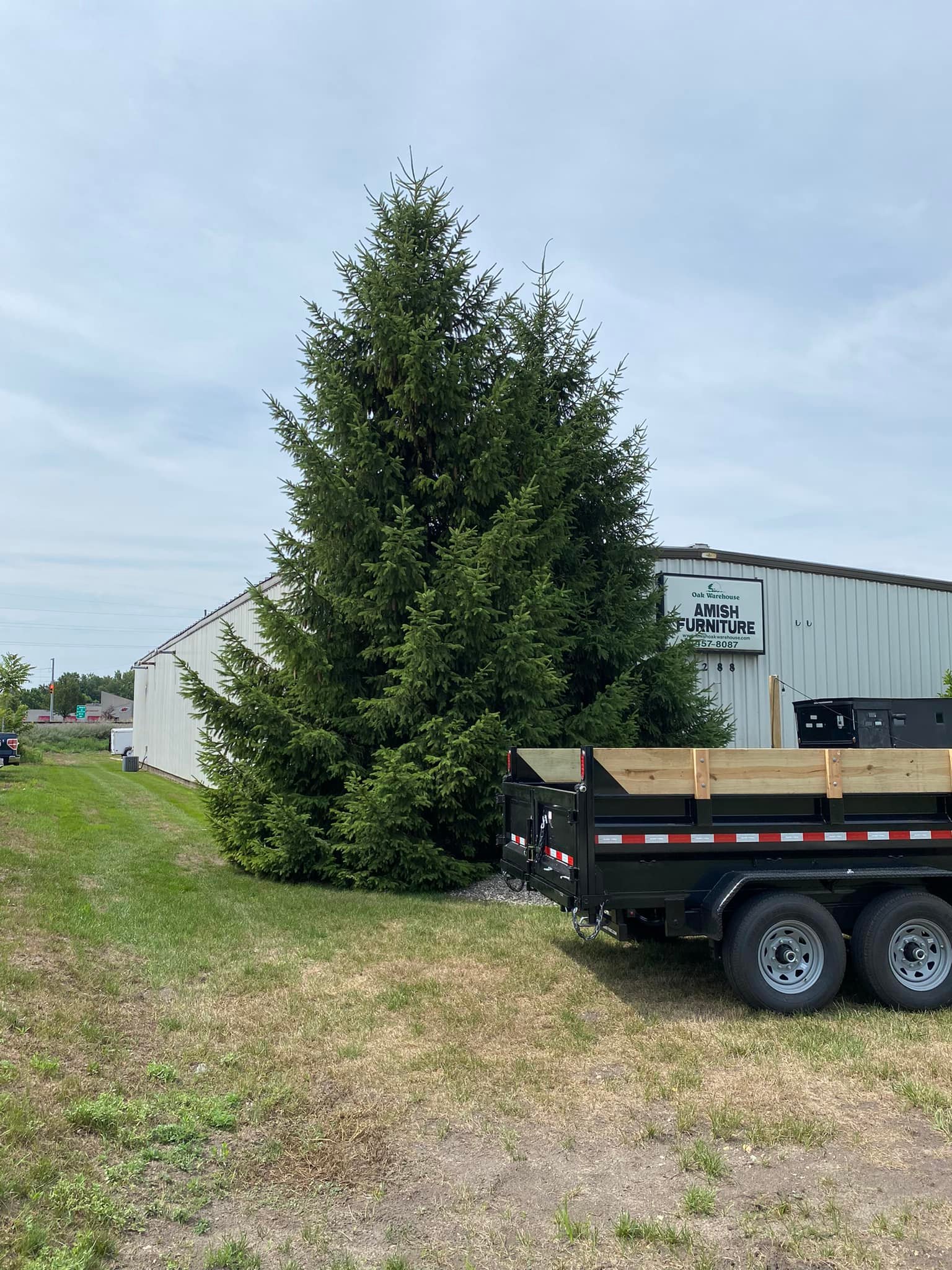 Rogue River Tree Service