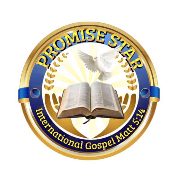Promise star International Network.