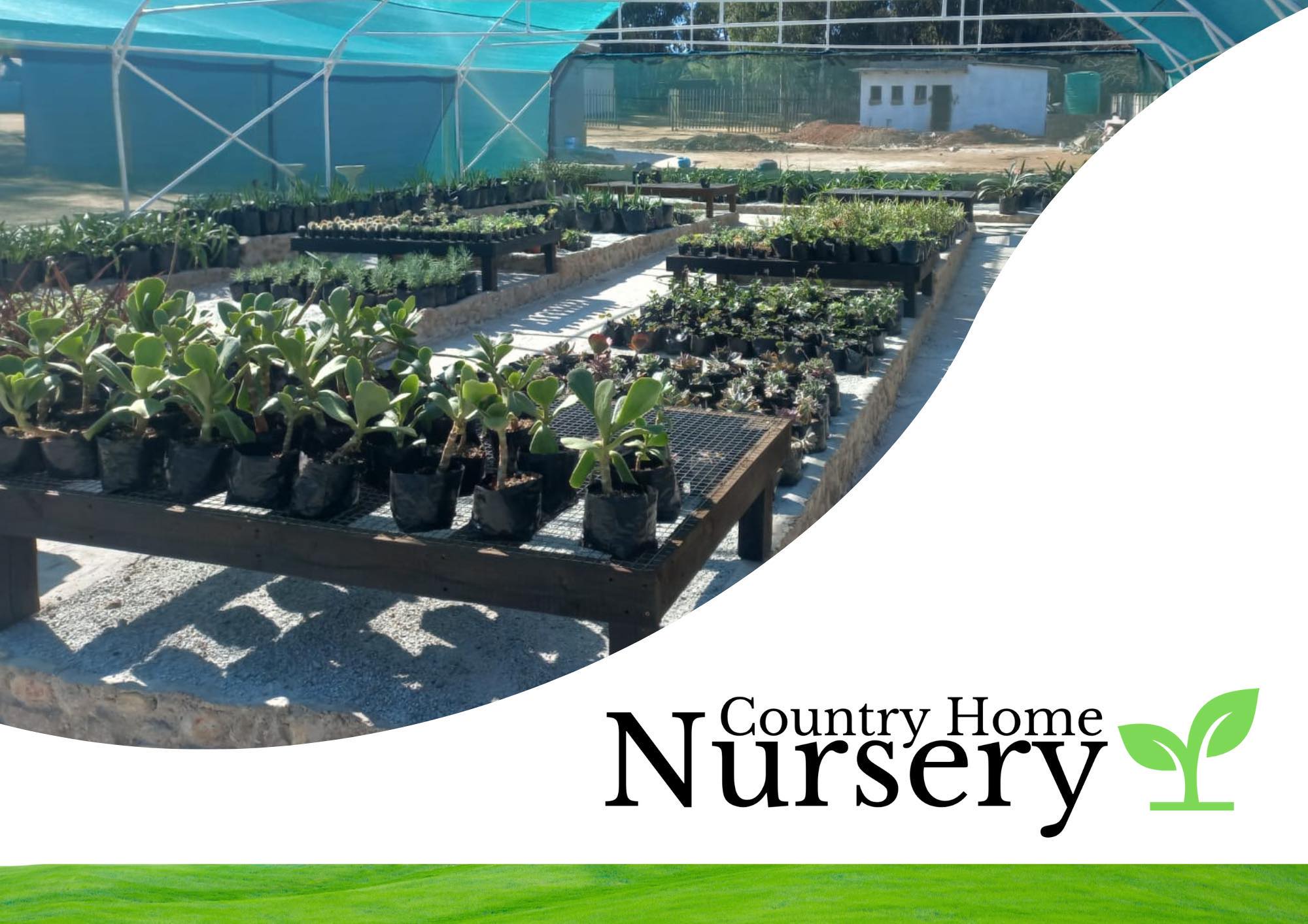 Country Home Farms