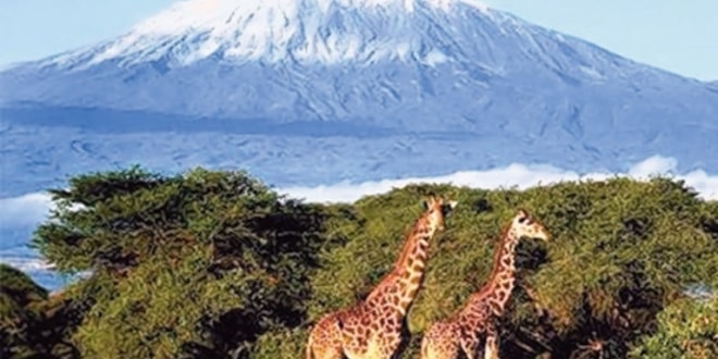 Moshi, Marangu, Rombo, Tarakea | Facebook