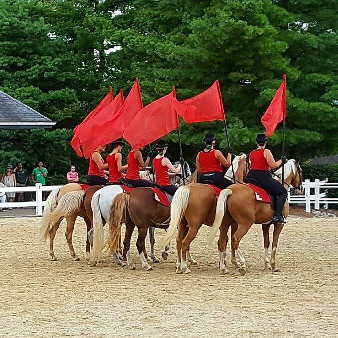 Rockin R Rhythm Riders Gaited Drill Team