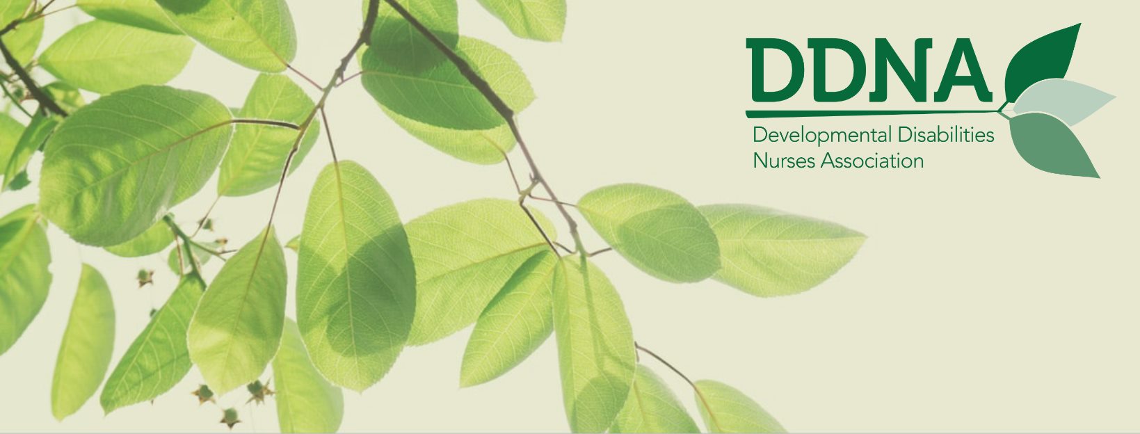 Developmental Disabilities Nurses Association | Denton TX