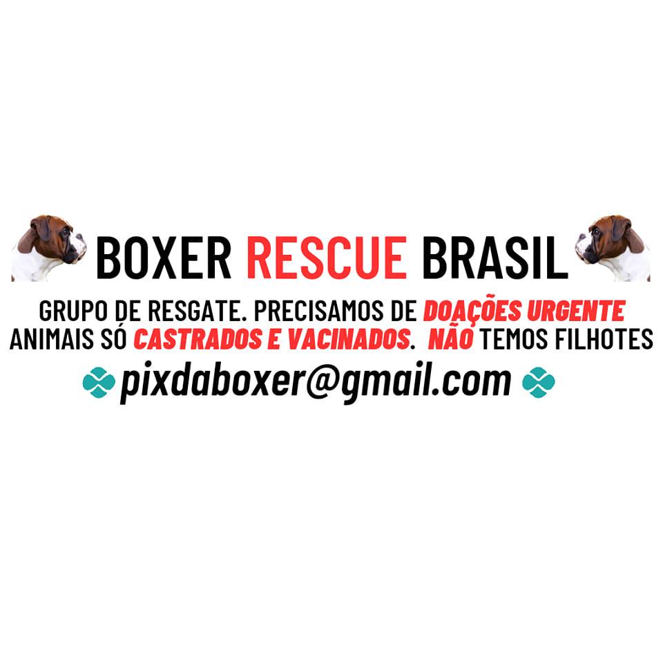 Boxer Rescue