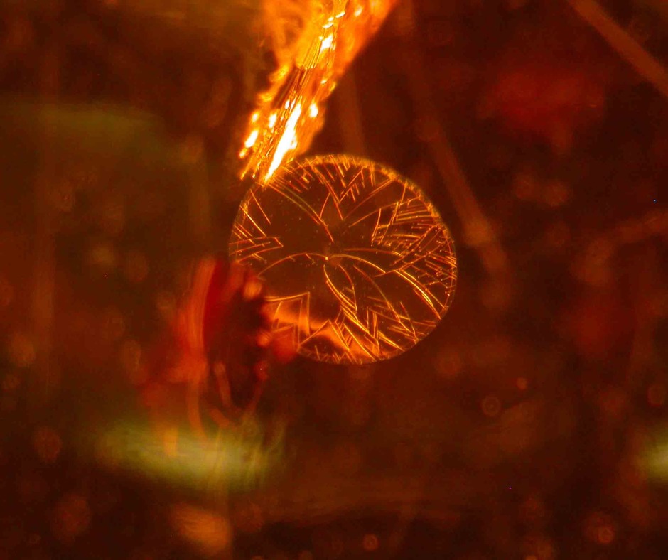 Gem-A - ‘Sun spangle’ inclusion in heat-treated amber 🌞... | Facebook