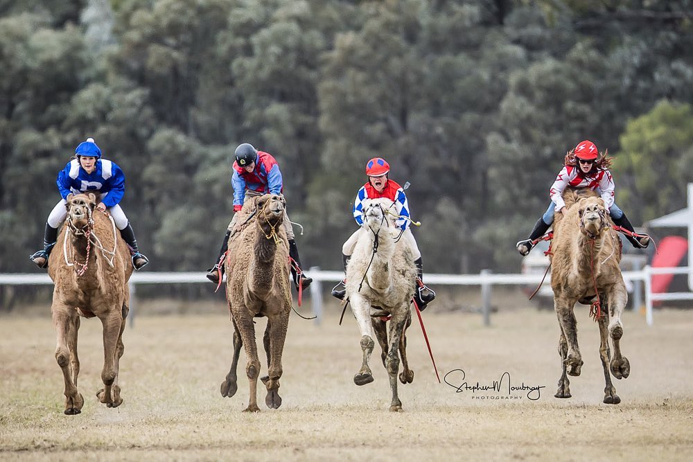 Tara Festival of Culture and Camel Races | Tara QLD