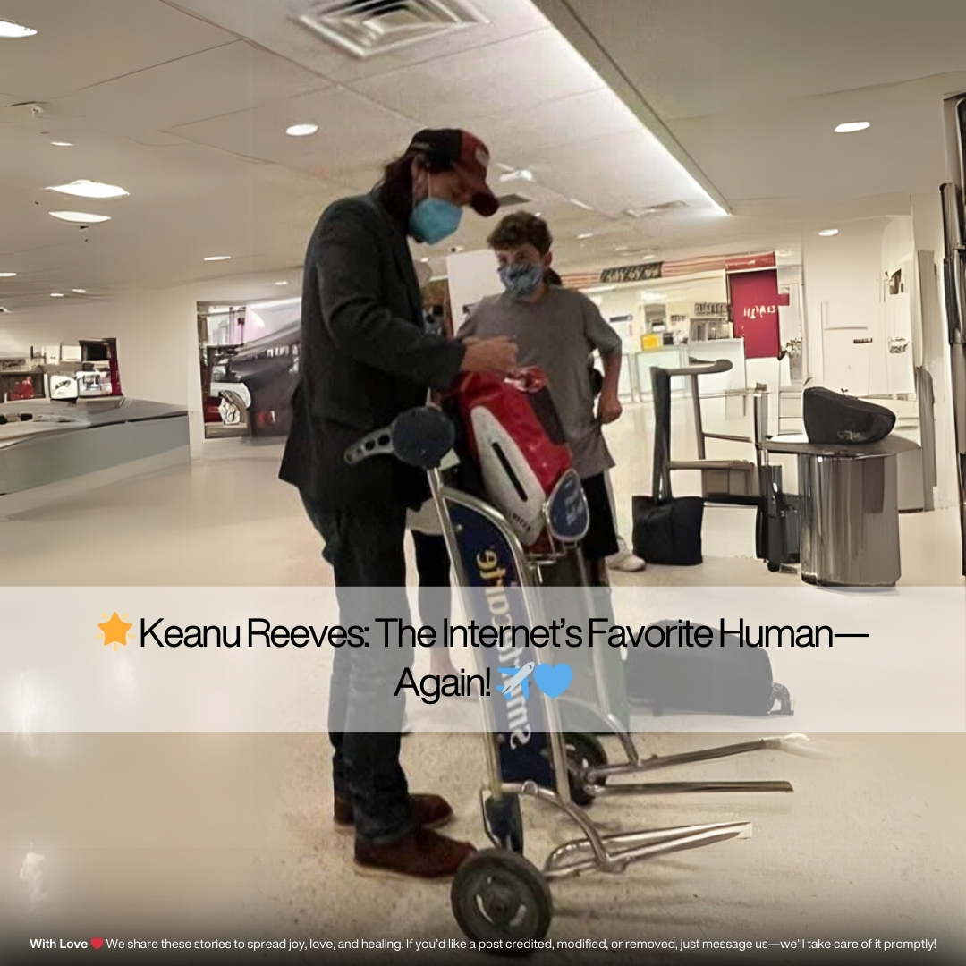 DogsDear - Keanu Reeves was seen yesterday on a flight from London to ...