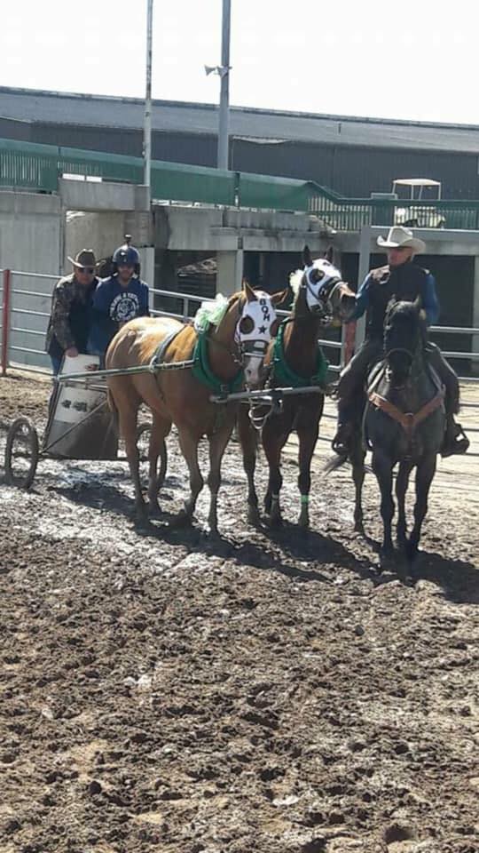 Worl... - World Champion Cutter and Chariot Racing Association