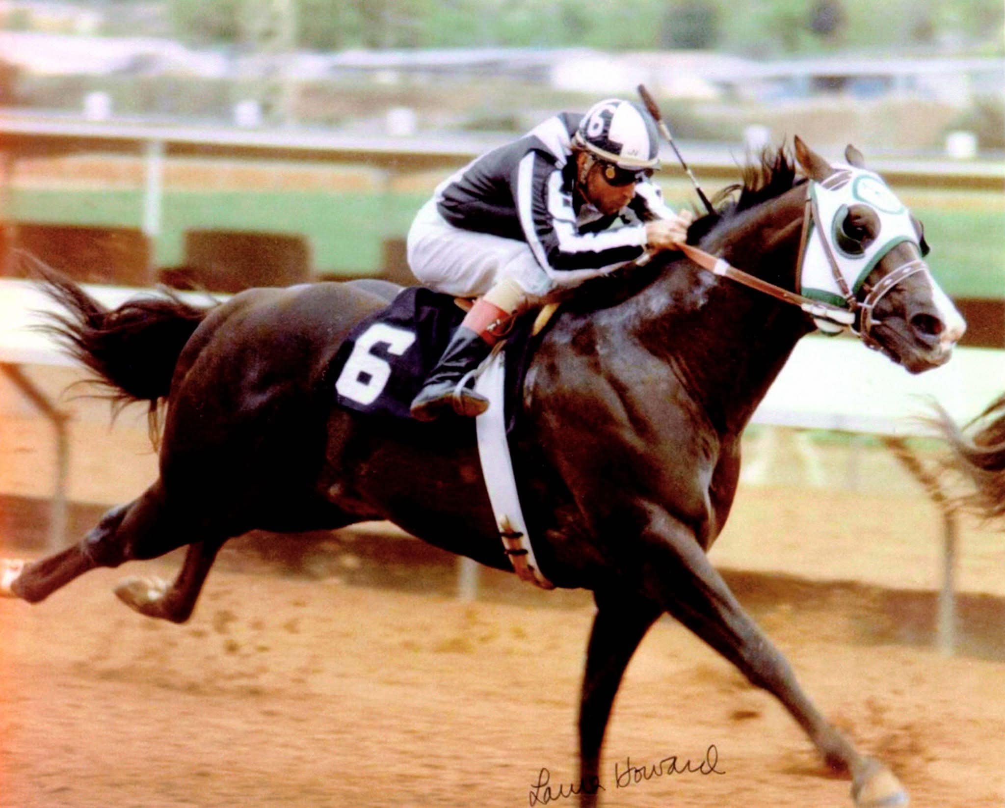 Rockin - Our stallion is a grandson of Ronas Ryon Ronas Ryon Inducted ...