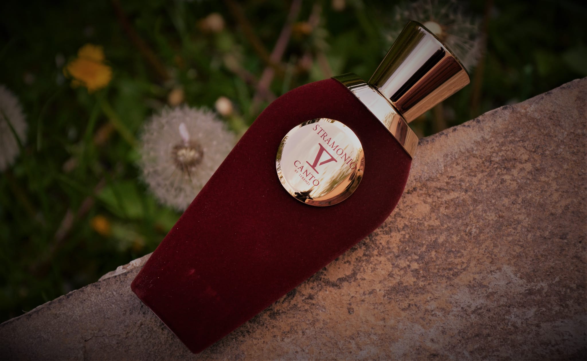 Stramonio by V Canto is a fragrance for women ?? and men 