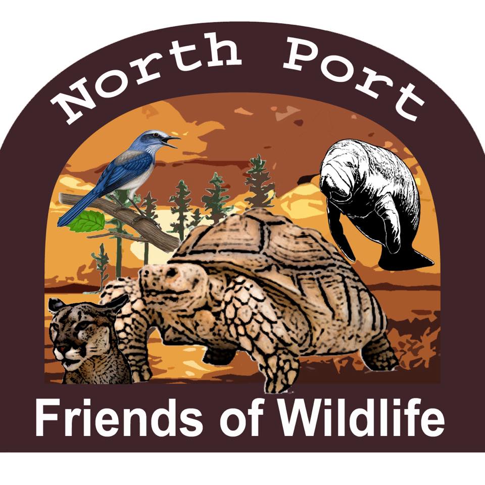 If you've never seen the bats at The Rookery at Venice Area Audubon, we ...