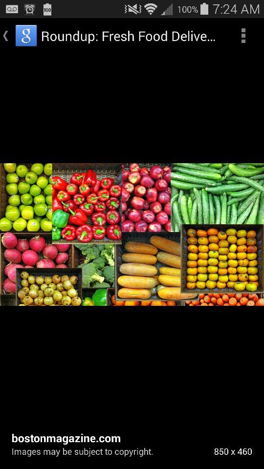 Rashid Farms Ltd