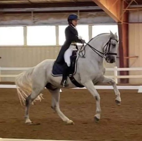 Such a fun ride today with Ken for 2nd place in the FEl freestyle TOC ...