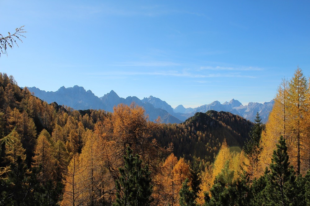 Arheološke raziskave - ArheoAlpe Bohinj